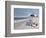 Beach Bum-Zhen-Huan Lu-Framed Giclee Print