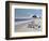 Beach Bum-Zhen-Huan Lu-Framed Giclee Print