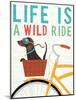 Beach Bums Dachshund Bicycle I Life-Michael Mullan-Mounted Art Print