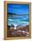 Beach, California, USA-John Alves-Framed Premier Image Canvas