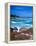 Beach, California, USA-John Alves-Framed Premier Image Canvas