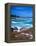 Beach, California, USA-John Alves-Framed Premier Image Canvas