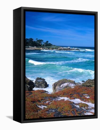 Beach, California, USA-John Alves-Framed Premier Image Canvas