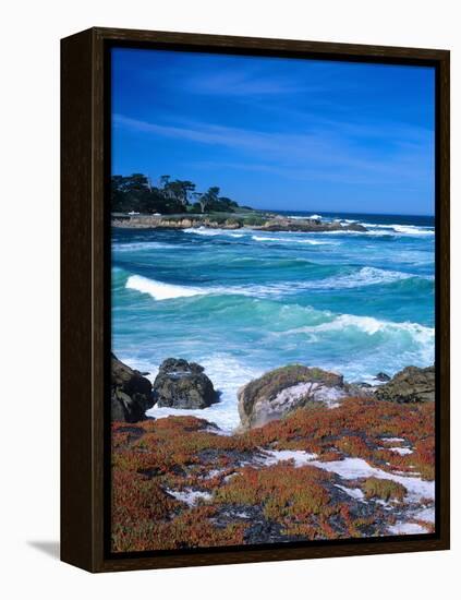 Beach, California, USA-John Alves-Framed Premier Image Canvas