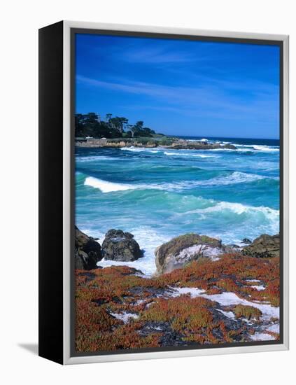 Beach, California, USA-John Alves-Framed Premier Image Canvas
