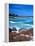 Beach, California, USA-John Alves-Framed Premier Image Canvas