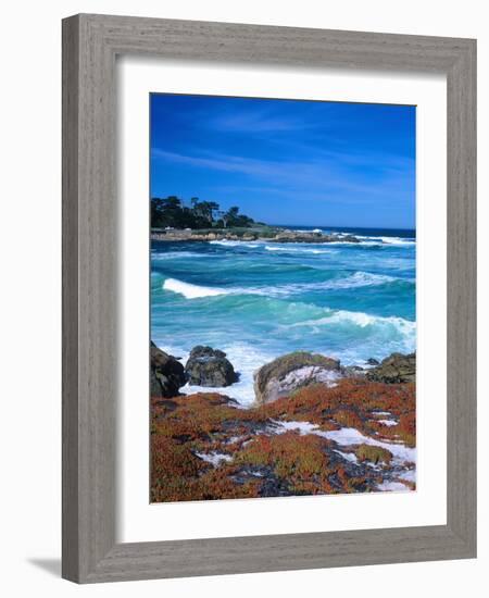 Beach, California, USA-John Alves-Framed Photographic Print