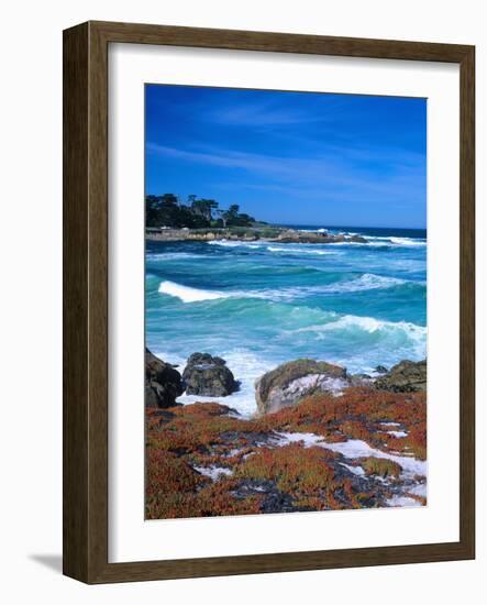 Beach, California, USA-John Alves-Framed Photographic Print