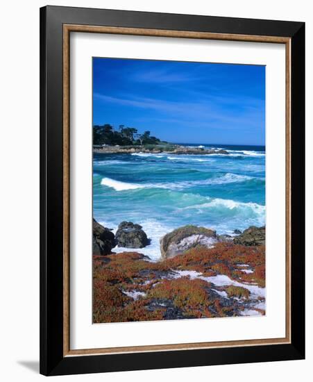 Beach, California, USA-John Alves-Framed Photographic Print