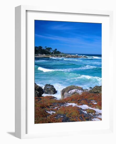 Beach, California, USA-John Alves-Framed Photographic Print