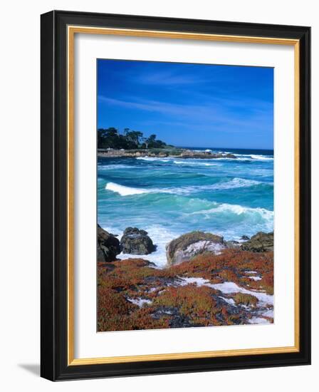 Beach, California, USA-John Alves-Framed Photographic Print