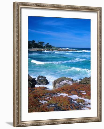 Beach, California, USA-John Alves-Framed Photographic Print