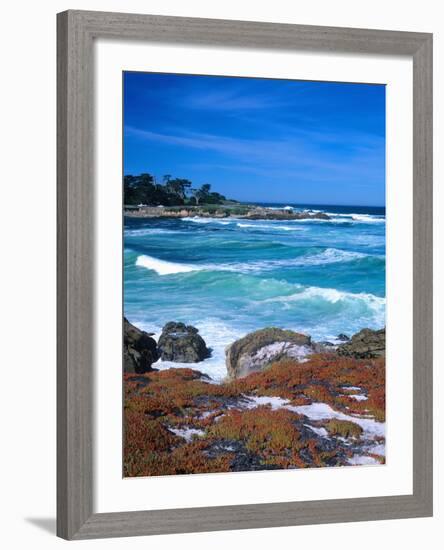 Beach, California, USA-John Alves-Framed Photographic Print