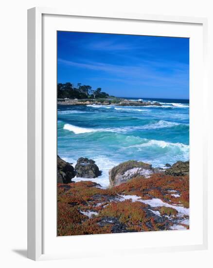 Beach, California, USA-John Alves-Framed Photographic Print