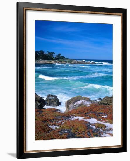 Beach, California, USA-John Alves-Framed Photographic Print