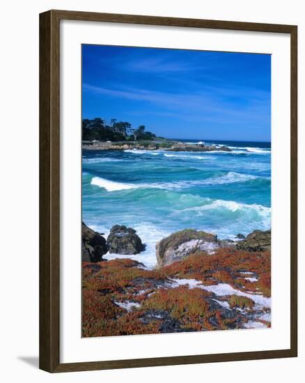 Beach, California, USA-John Alves-Framed Photographic Print