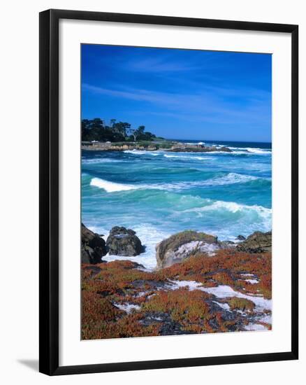 Beach, California, USA-John Alves-Framed Photographic Print