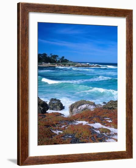 Beach, California, USA-John Alves-Framed Photographic Print