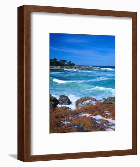 Beach, California, USA-John Alves-Framed Photographic Print