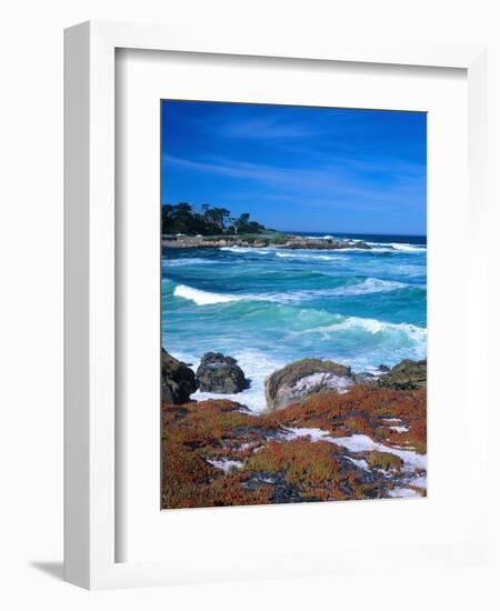 Beach, California, USA-John Alves-Framed Photographic Print