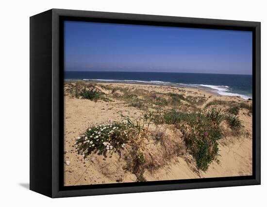 Beach, Cape Trafalgar, Andalucia, Spain-Jean Brooks-Framed Premier Image Canvas