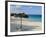 Beach, Cat Island, the Bahamas, West Indies, Central America-Michael DeFreitas-Framed Photographic Print