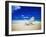 Beach Chair on Empty Beach-Randy Faris-Framed Photographic Print