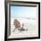 Beach Chair-Noah Bay-Framed Art Print