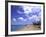 Beach Chairs and Palms, Pinneys Beach, Nevis, Caribbean-Bill Bachmann-Framed Photographic Print