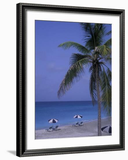 Beach Chairs, Caribbean Palms-Bill Bachmann-Framed Photographic Print