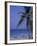 Beach Chairs, Caribbean Palms-Bill Bachmann-Framed Photographic Print