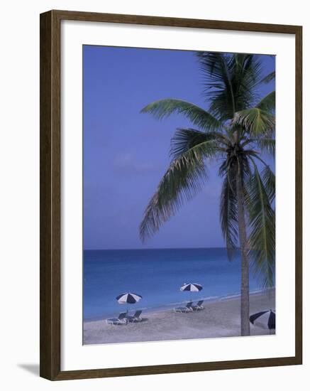 Beach Chairs, Caribbean Palms-Bill Bachmann-Framed Photographic Print