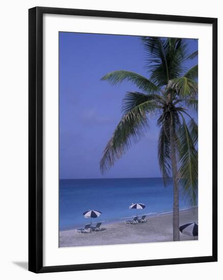 Beach Chairs, Caribbean Palms-Bill Bachmann-Framed Photographic Print