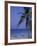 Beach Chairs, Caribbean Palms-Bill Bachmann-Framed Photographic Print