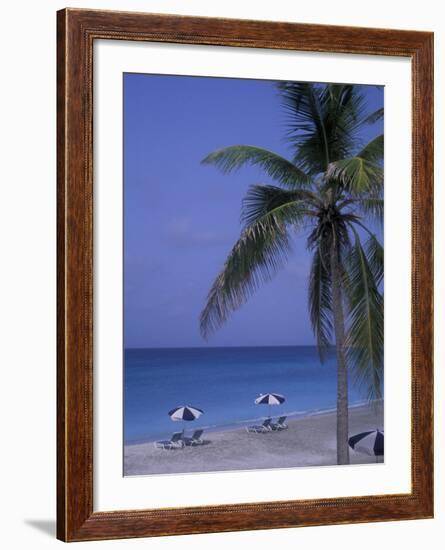 Beach Chairs, Caribbean Palms-Bill Bachmann-Framed Photographic Print