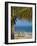 Beach Chairs on Grand Anse Beach, Grenada, Windward Islands, Caribbean-Michael DeFreitas-Framed Photographic Print