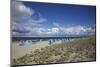 Beach Chairs on the Beach of the Baltic Sea-Uwe Steffens-Mounted Photographic Print