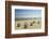 Beach Chairs, Usedom, Baltic Sea, Mecklenburg-Vorpommern, Germany, Europe-Jochen Schlenker-Framed Photographic Print