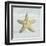 Beach Collection II-Tandi Venter-Framed Art Print