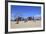 Beach, Coney Island, Brooklyn, New York City, United States of America, North America-Wendy Connett-Framed Photographic Print