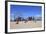 Beach, Coney Island, Brooklyn, New York City, United States of America, North America-Wendy Connett-Framed Photographic Print