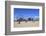 Beach, Coney Island, Brooklyn, New York City, United States of America, North America-Wendy Connett-Framed Photographic Print