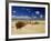 Beach, Cote d'Argent, Gironde, Aquitaine, France-David Hughes-Framed Photographic Print