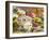 Beach Cottage Community-Erin Dertner-Framed Art Print