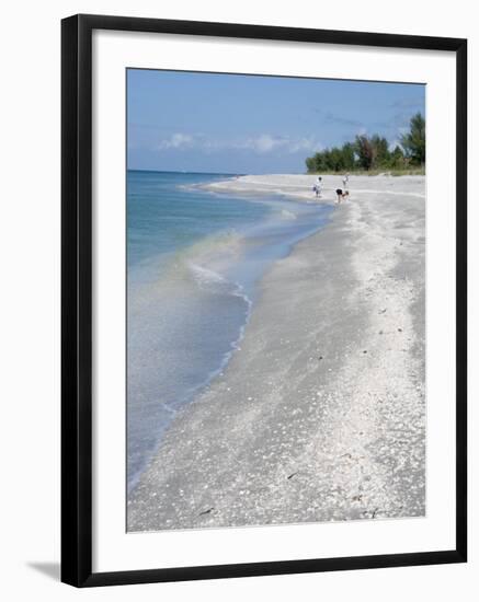 Beach Covered in Shells, Captiva Island, Gulf Coast, Florida, United States of America-Robert Harding-Framed Photographic Print