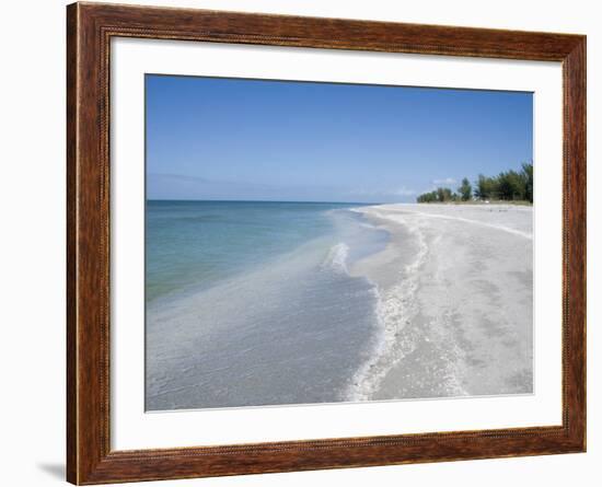 Beach Covered in Shells, Captiva Island, Gulf Coast, Florida, United States of America-Robert Harding-Framed Photographic Print