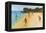 Beach Cricket-Victor Collector-Framed Premier Image Canvas