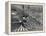 Beach Crowds as Seen from the Parachute Jump at Steeple Park, Coney Island, NY, 1950-null-Framed Stretched Canvas