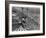 Beach Crowds as Seen from the Parachute Jump at Steeple Park, Coney Island, NY, 1950-null-Framed Photo