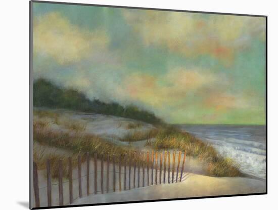 Beach Day Afternoon I-David Swanagin-Mounted Art Print